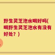 野生灵芝泡水喝好吗(喝野生灵芝泡水有没有好处？)