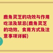 鹿角灵芝的功效与作用吃法及禁忌(鹿角灵芝的功效、食用方式及注意事项详解)