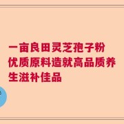 一亩良田灵芝孢子粉 优质原料造就高品质养生滋补佳品