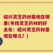 绍兴灵芝药材基地在哪里(寻找灵芝药材的好去处：绍兴灵芝药材基地在哪儿？)