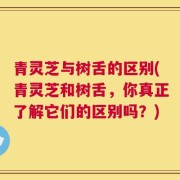 青灵芝与树舌的区别(青灵芝和树舌，你真正了解它们的区别吗？)