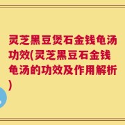灵芝黑豆煲石金钱龟汤功效(灵芝黑豆石金钱龟汤的功效及作用解析)