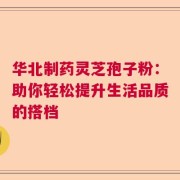 华北制药灵芝孢子粉：助你轻松提升生活品质的搭档