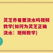 灵芝养着要浇水吗视频教学(如何为灵芝正确浇水：视频教学)