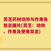 灵芝药材功效与作用及禁忌图片(灵芝：功效、作用及使用禁忌)