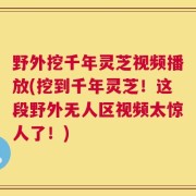 野外挖千年灵芝视频播放(挖到千年灵芝！这段野外无人区视频太惊人了！)