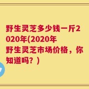 野生灵芝多少钱一斤2020年(2020年野生灵芝市场价格，你知道吗？)