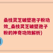 桑枝灵芝破壁孢子粉功效_桑枝灵芝破壁孢子粉的神奇功效解析)