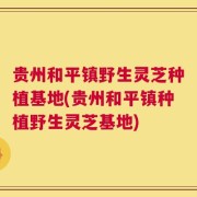 贵州和平镇野生灵芝种植基地(贵州和平镇种植野生灵芝基地)
