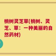 桃树灵芝草(桃树、灵芝、草：一种美丽的自然药材)
