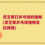 灵芝草打乒乓球的视频(灵芝草乒乓球视频走红网络)