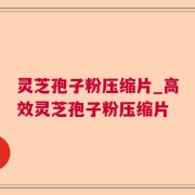 灵芝孢子粉压缩片_高效灵芝孢子粉压缩片