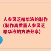 人参灵芝精华液的制作(制作高质量人参灵芝精华液的方法分享)