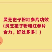 灵芝孢子粉红参片功效(灵芝孢子粉和红参片合力，好处多多！)