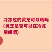 冷冻过的灵芝可以晒吗(灵芝是否可以在冷冻后曝晒)
