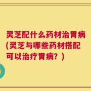 灵芝配什么药材治胃病(灵芝与哪些药材搭配可以治疗胃病？)