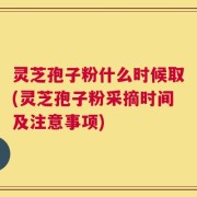 灵芝孢子粉什么时候取(灵芝孢子粉采摘时间及注意事项)