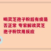 喝灵芝孢子粉后有痰是否正常 专家解读灵芝孢子粉饮用反应