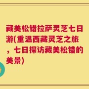 藏美松错拉萨灵芝七日游(重温西藏灵芝之旅，七日探访藏美松错的美景)