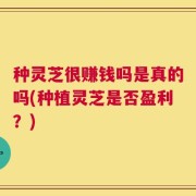 种灵芝很赚钱吗是真的吗(种植灵芝是否盈利？)