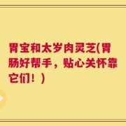 胃宝和太岁肉灵芝(胃肠好帮手，贴心关怀靠它们！)