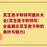 灵芝孢子粉特写图片大全(灵芝孢子粉特写：全面展示灵芝孢子粉的美妙与魅力)