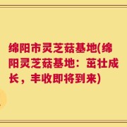 绵阳市灵芝菇基地(绵阳灵芝菇基地：茁壮成长，丰收即将到来)