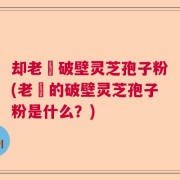 却老斎破壁灵芝孢子粉(老斎的破壁灵芝孢子粉是什么？)