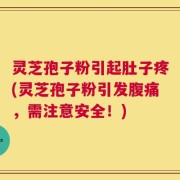 灵芝孢子粉引起肚子疼(灵芝孢子粉引发腹痛，需注意安全！)