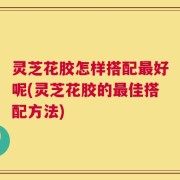 灵芝花胶怎样搭配最好呢(灵芝花胶的最佳搭配方法)