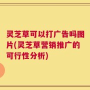 灵芝草可以打广告吗图片(灵芝草营销推广的可行性分析)