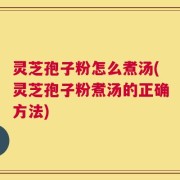 灵芝孢子粉怎么煮汤(灵芝孢子粉煮汤的正确方法)