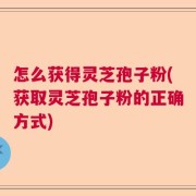 怎么获得灵芝孢子粉(获取灵芝孢子粉的正确方式)
