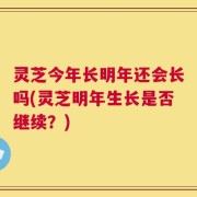 灵芝今年长明年还会长吗(灵芝明年生长是否继续？)