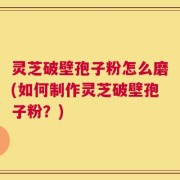 灵芝破壁孢子粉怎么磨(如何制作灵芝破壁孢子粉？)