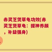 赤灵芝煲草龟功效(赤灵芝煲草龟：提神养颜，补益强身)