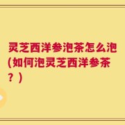 灵芝西洋参泡茶怎么泡(如何泡灵芝西洋参茶？)