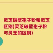 灵芝破壁孢子粉和灵芝区别(灵芝破壁孢子粉与灵芝的区别)