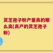 灵芝孢子粉产量真的那么高(高产的灵芝孢子粉)