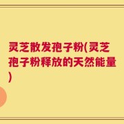 灵芝散发孢子粉(灵芝孢子粉释放的天然能量)