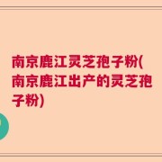 南京鹿江灵芝孢子粉(南京鹿江出产的灵芝孢子粉)