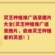 灵芝种植推广语录图片大全(灵芝种植推广语录图片，启迪灵芝种植者的灵感！)