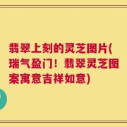 翡翠上刻的灵芝图片(瑞气盈门！翡翠灵芝图案寓意吉祥如意)