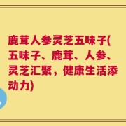 鹿茸人参灵芝五味子(五味子、鹿茸、人参、灵芝汇聚，健康生活添动力)