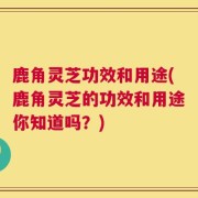 鹿角灵芝功效和用途(鹿角灵芝的功效和用途你知道吗？)