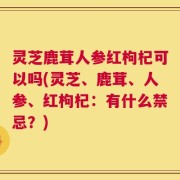 灵芝鹿茸人参红枸杞可以吗(灵芝、鹿茸、人参、红枸杞：有什么禁忌？)