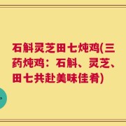 石斛灵芝田七炖鸡(三药炖鸡：石斛、灵芝、田七共赴美味佳肴)