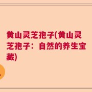 黄山灵芝孢子(黄山灵芝孢子:自然的养生宝藏)