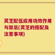 灵芝配伍应用功效作用与禁忌(灵芝的搭配及注意事项)
