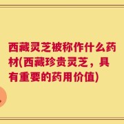 西藏灵芝被称作什么药材(西藏珍贵灵芝，具有重要的药用价值)